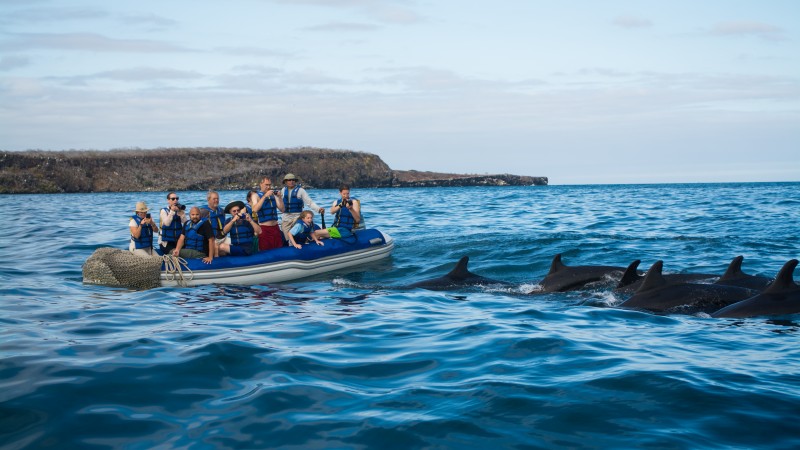 Spotting Dolphins in the Galapagos Islands