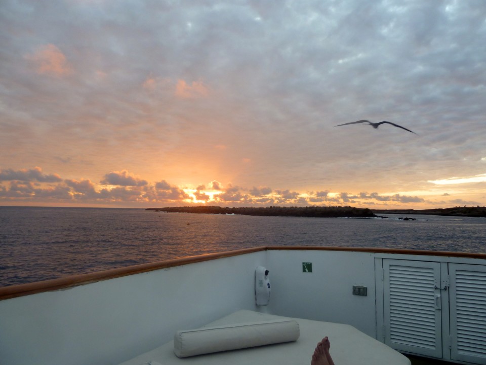 Galapagos Cruise - pointstravel